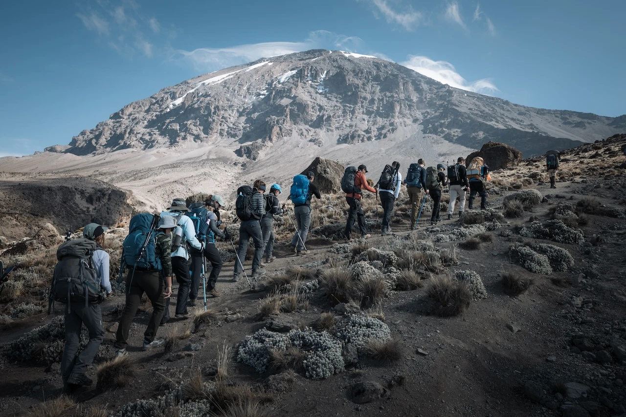 Altezza Trekkers on a shared Kilimanjaro trip Altezza Trekkers on a shared Kilimanjaro trip