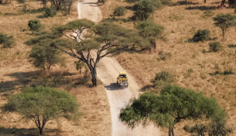 Tanzania safari guides will take you to the most iconic places in the national parks Tanzania safari guides will take you to the most iconic places in the national parks