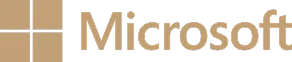 Microsoft Microsoft