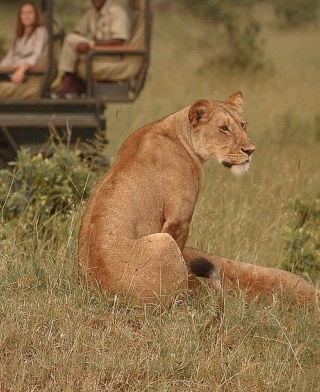 Serengeti National Park Serengeti National Park