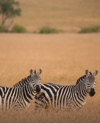 Arusha National Park Arusha National Park