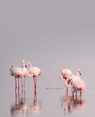Lake Manyara Lake Manyara