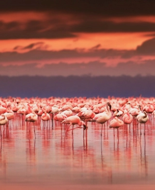 Lake Natron Lake Natron